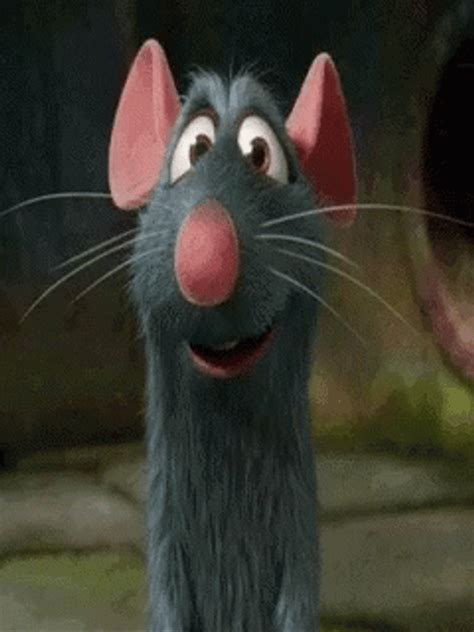 Gif ratatouille - With Tenor, maker of GIF Keyboard, add popular Welcome To Hell Ratatouille animated GIFs to your conversations. Share the best GIFs now >>>